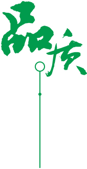 十大重點(diǎn)領(lǐng)域之一